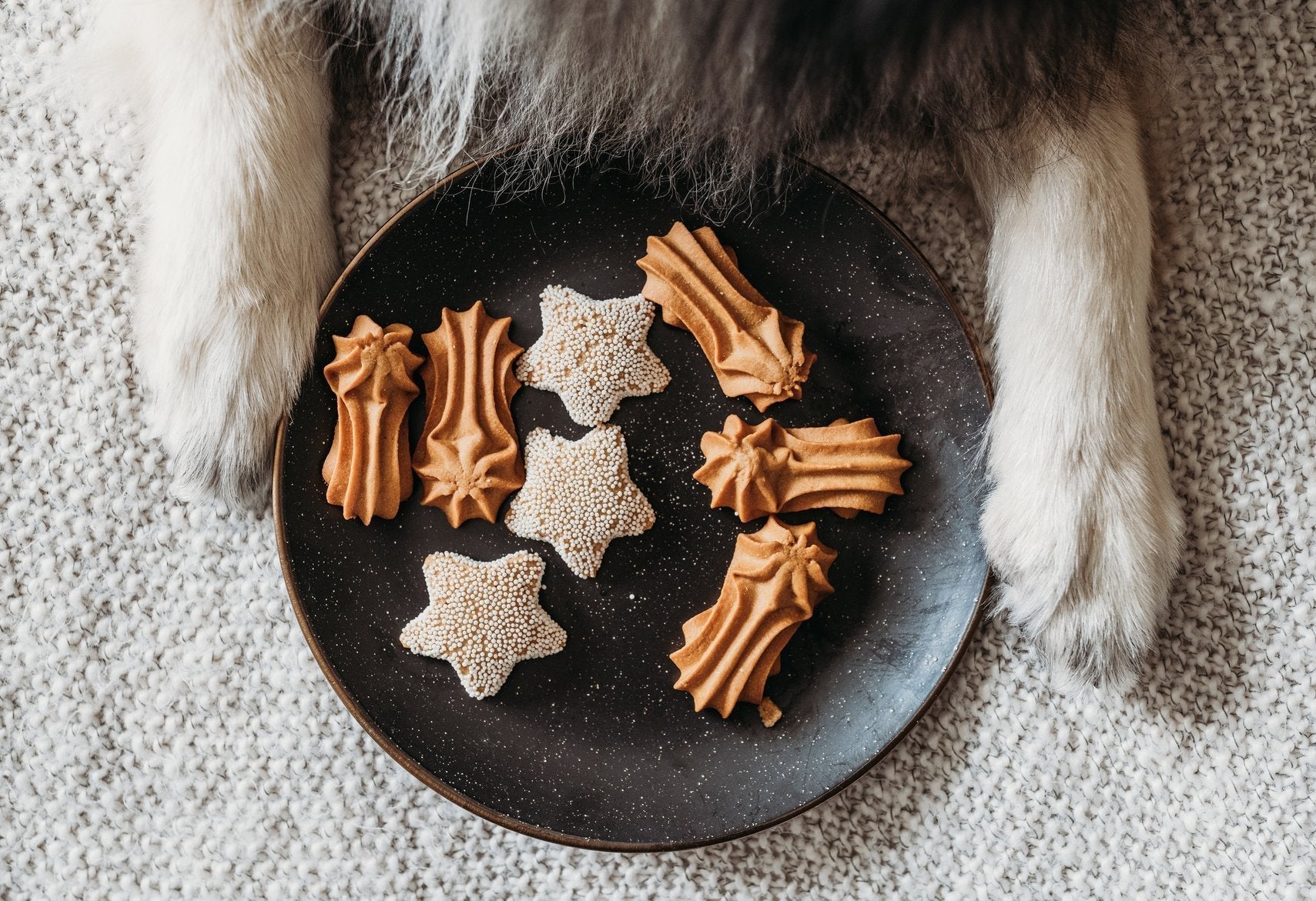 TREAT YOUR BEST FRIEND TO A HOLIDAY PARTY THAT’S JUST FOR THEM.