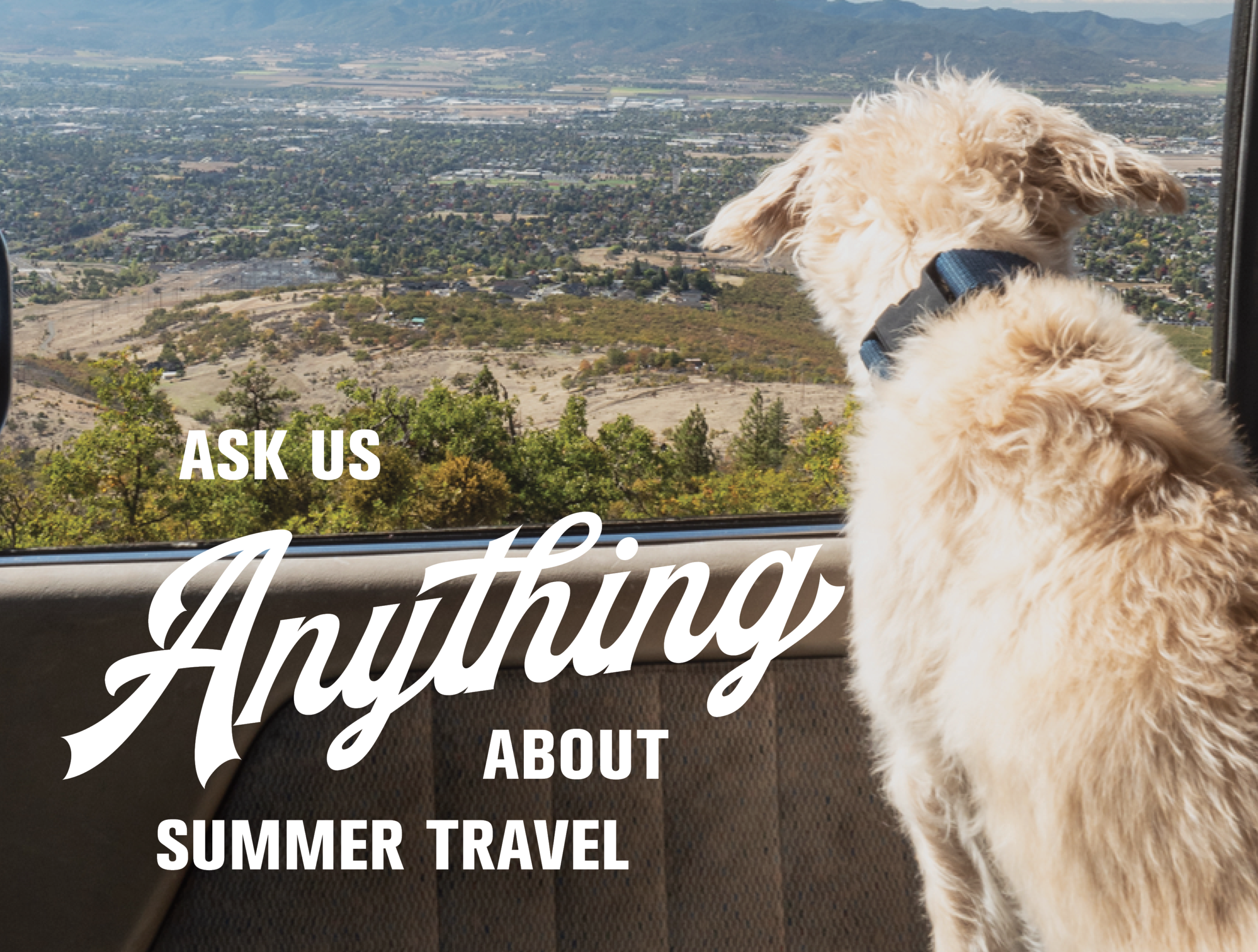 WHAT DO I NEED TO KNOW ABOUT SUMMER TRAVEL WITH PETS?